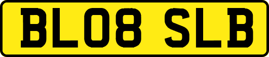 BL08SLB