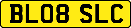 BL08SLC