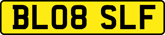 BL08SLF