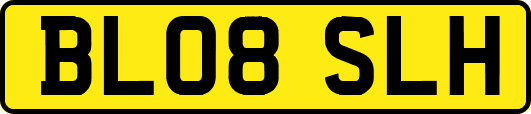 BL08SLH