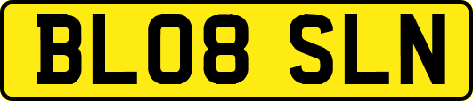 BL08SLN
