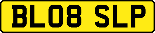 BL08SLP