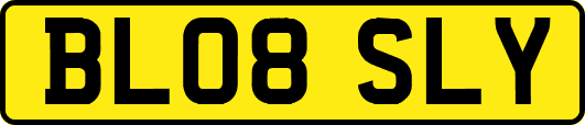 BL08SLY