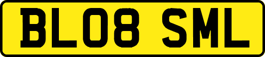 BL08SML