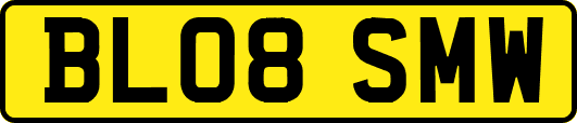 BL08SMW