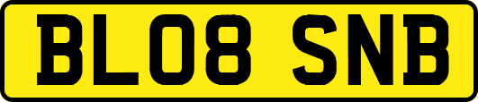 BL08SNB