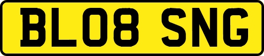 BL08SNG