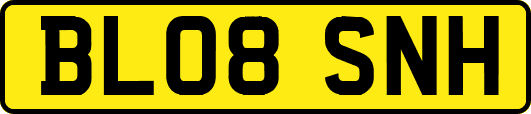 BL08SNH