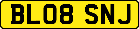 BL08SNJ