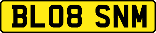 BL08SNM