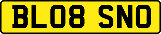 BL08SNO