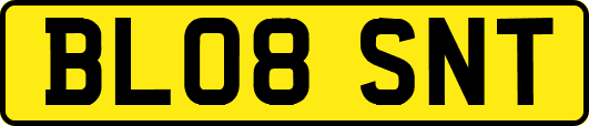 BL08SNT