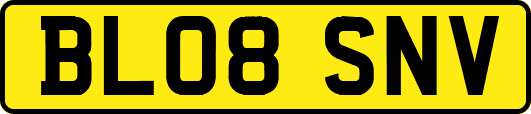 BL08SNV