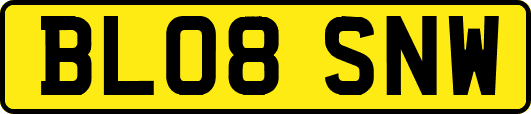 BL08SNW