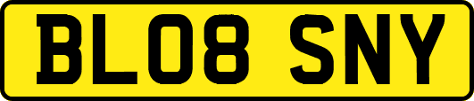 BL08SNY