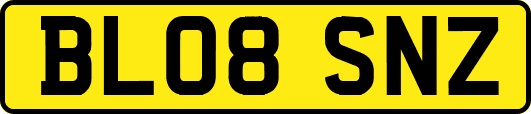 BL08SNZ