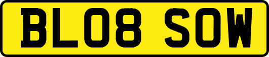 BL08SOW