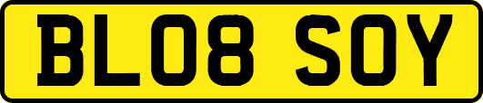 BL08SOY