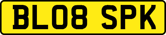 BL08SPK