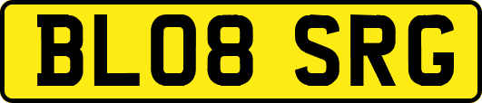 BL08SRG