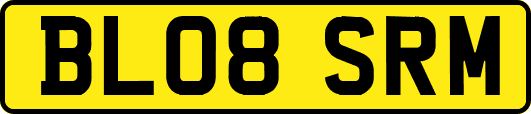 BL08SRM