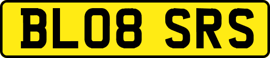 BL08SRS