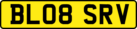 BL08SRV