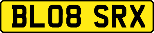 BL08SRX
