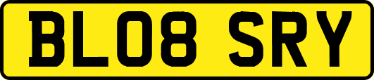 BL08SRY