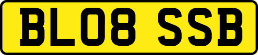 BL08SSB