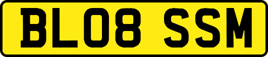 BL08SSM