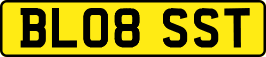 BL08SST