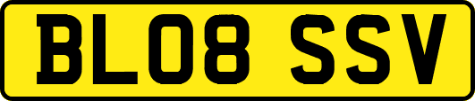 BL08SSV