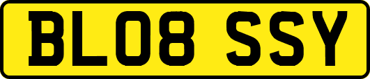 BL08SSY