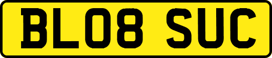BL08SUC