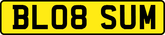 BL08SUM