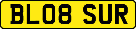 BL08SUR