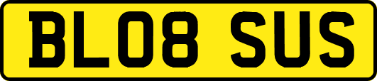 BL08SUS