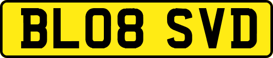 BL08SVD