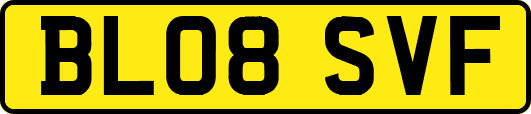 BL08SVF