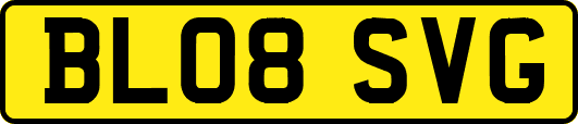 BL08SVG