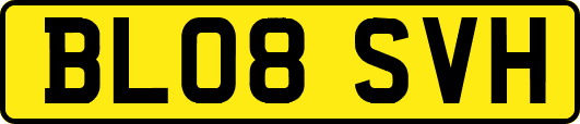 BL08SVH