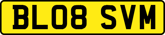 BL08SVM