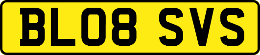 BL08SVS