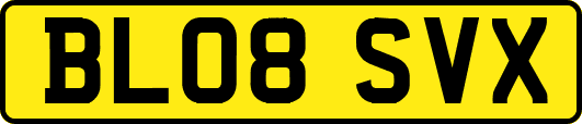 BL08SVX