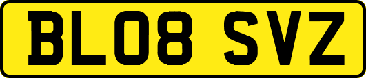 BL08SVZ