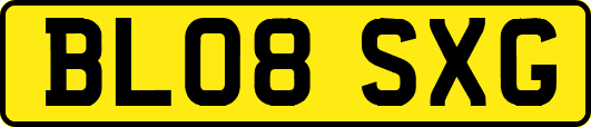 BL08SXG