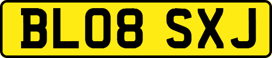 BL08SXJ