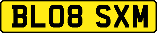 BL08SXM