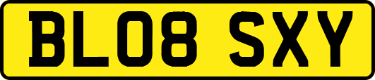 BL08SXY